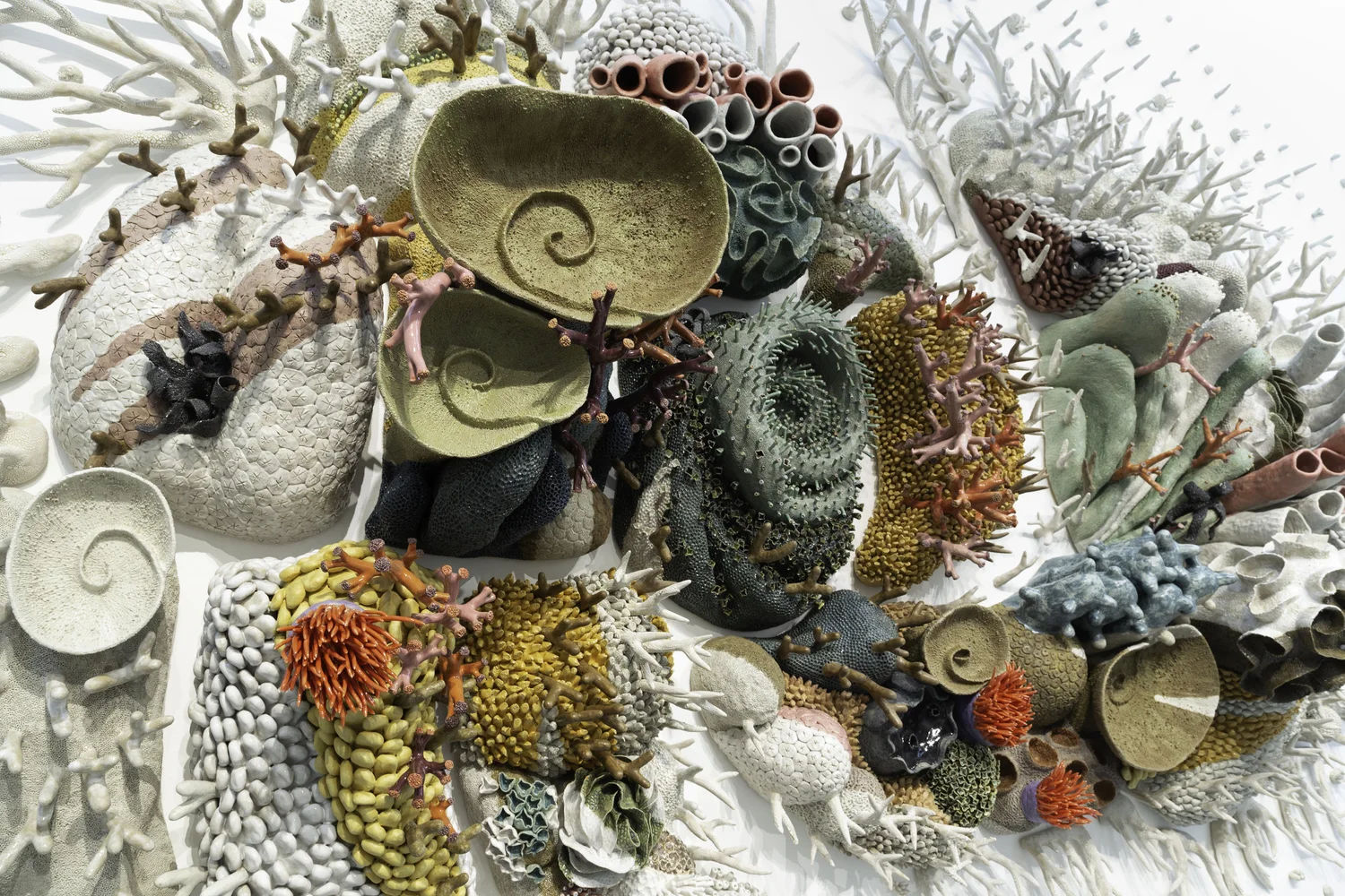 Courtney Mattison - Mangroves Art Foundation