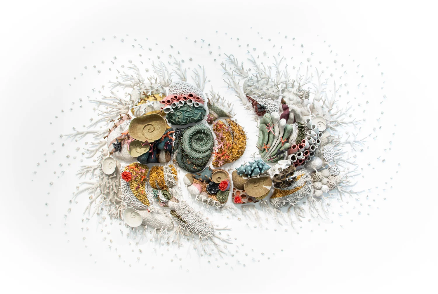 Courtney Mattison - Mangroves Foundation