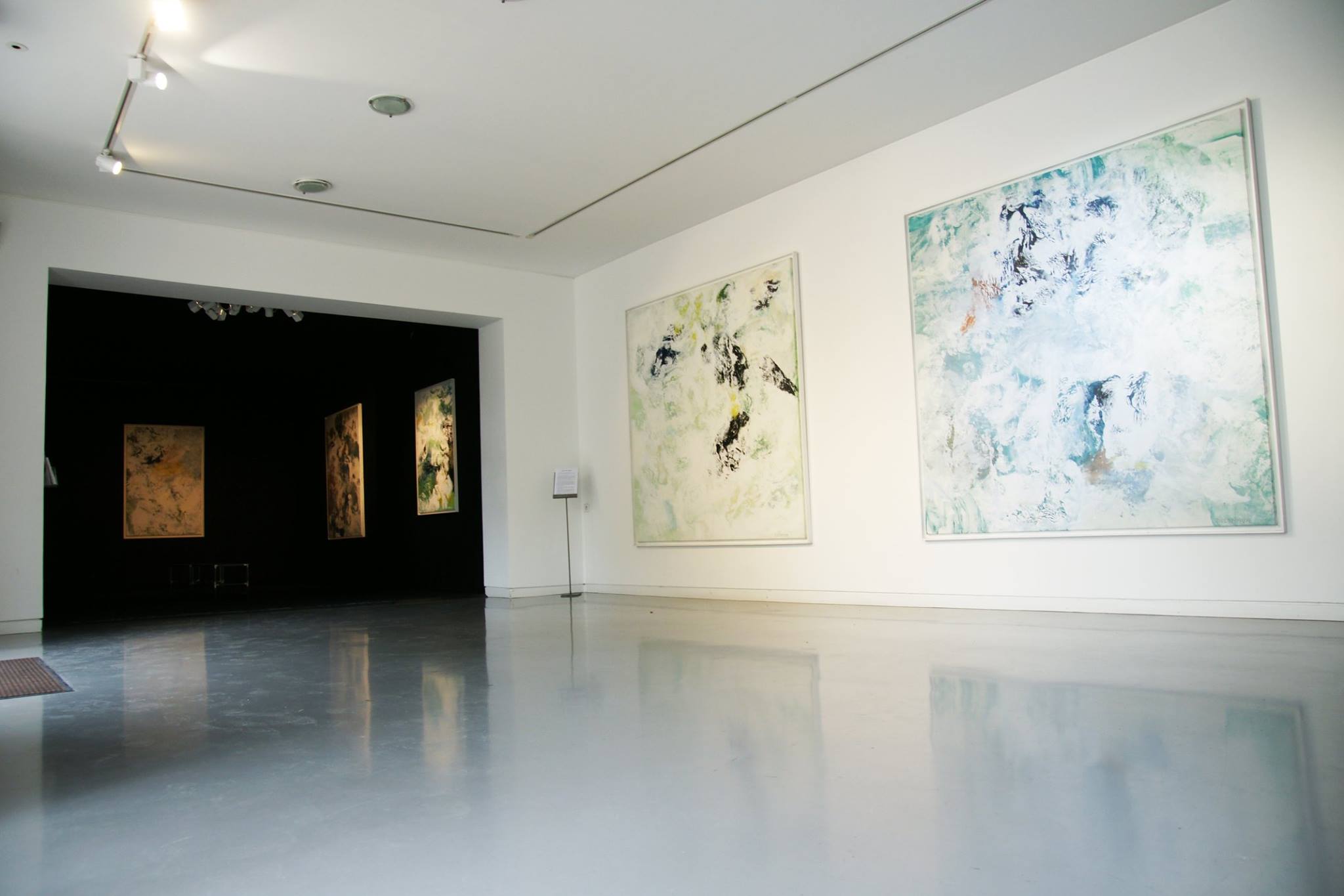 Amélie Ducommun_PreviousArtwork_01_Mangroves Foundation
