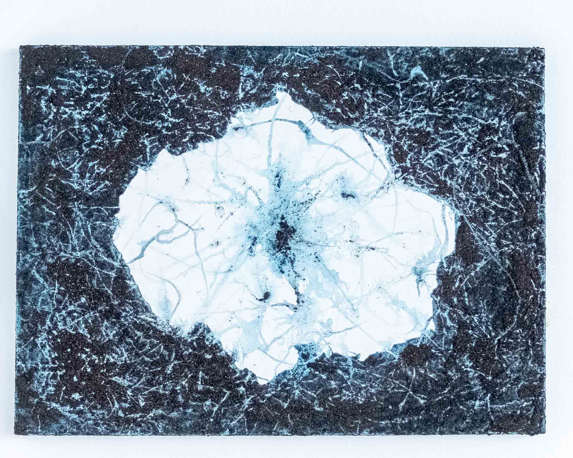 Benoit Fournier_PreviousArtwork01_Mangroves Foundation
