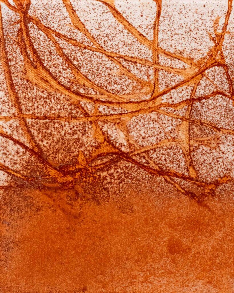 Benoit Fournier_PreviousArtwork02_Mangroves Foundation