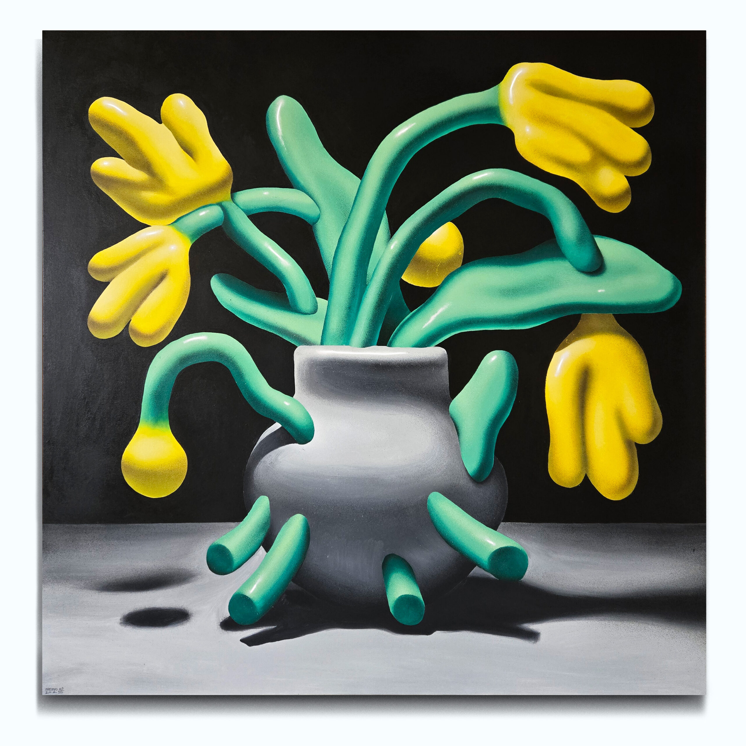Martynas Auz - Mangroves Foundation